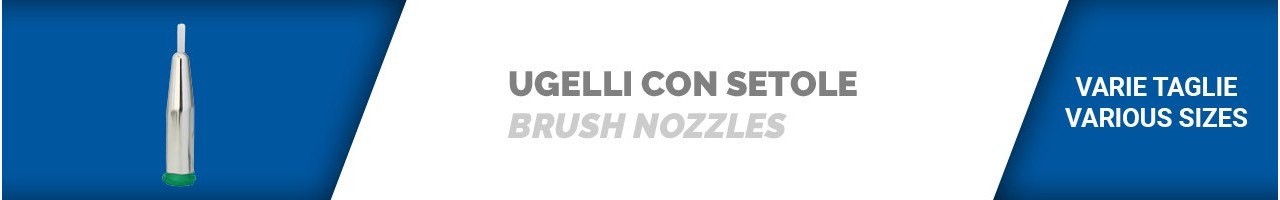 Ugelli con setole